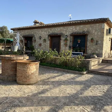 Olivar El Pino Ronda