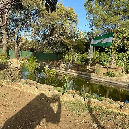Olivar El Pino Casa vacanze