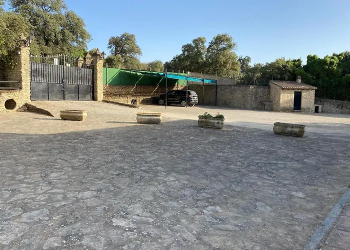 Olivar El Pino ロンダ