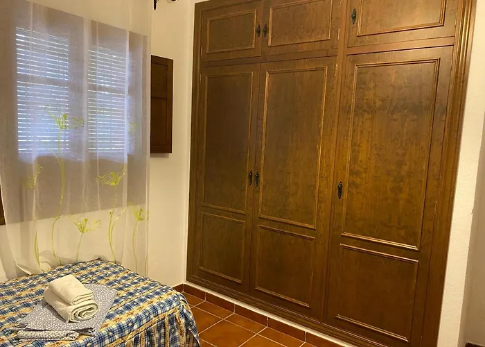 Olivar El Pino